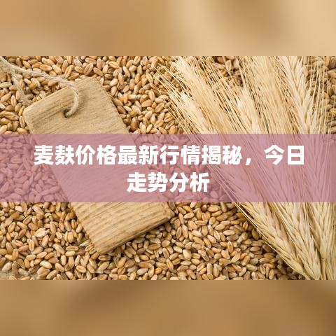 麦麸价格最新行情揭秘，今日走势分析