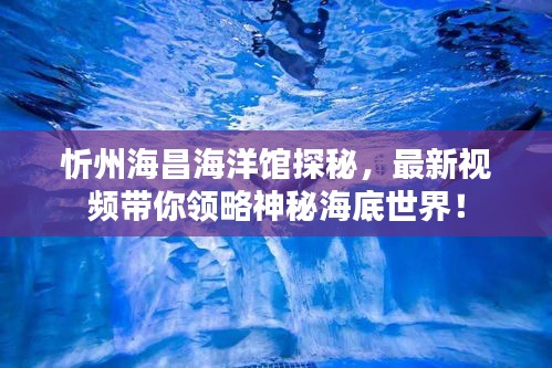 忻州海昌海洋馆探秘，最新视频带你领略神秘海底世界！