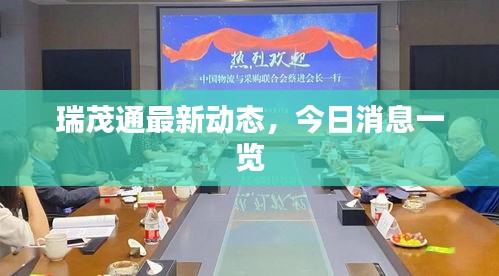 瑞茂通最新动态，今日消息一览