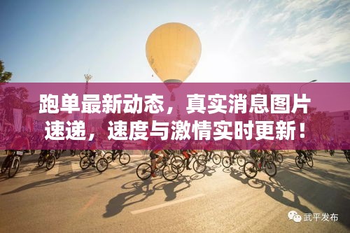 跑单最新动态，真实消息图片速递，速度与激情实时更新！
