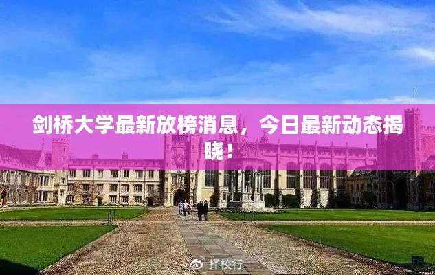 剑桥大学最新放榜消息，今日最新动态揭晓！
