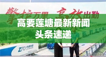 高要莲塘最新新闻头条速递