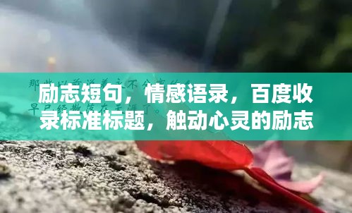 励志短句，情感语录，百度收录标准标题，触动心灵的励志情感短句