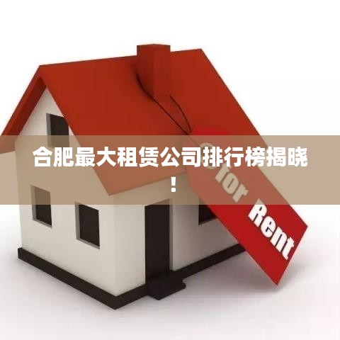 合肥最大租赁公司排行榜揭晓！