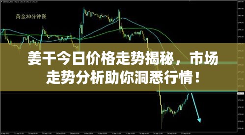 姜干今日价格走势揭秘，市场走势分析助你洞悉行情！