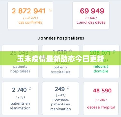 玉米疫情最新动态今日更新