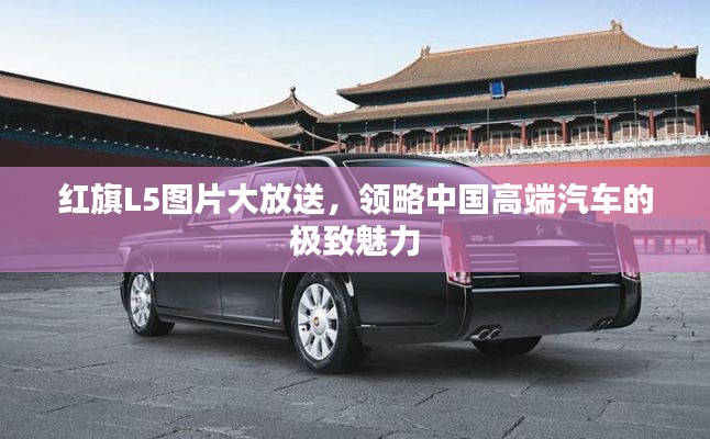 红旗L5图片大放送，领略中国高端汽车的极致魅力