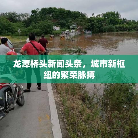 龙潭桥头新闻头条，城市新枢纽的繁荣脉搏