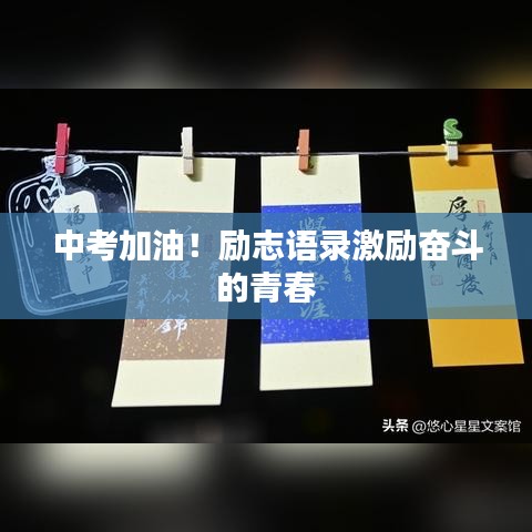 中考加油！励志语录激励奋斗的青春