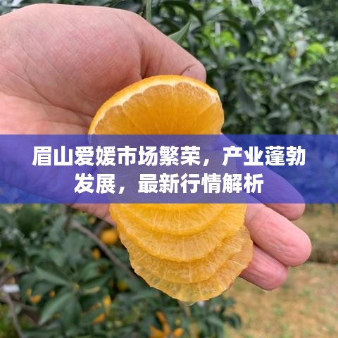 眉山爱媛市场繁荣，产业蓬勃发展，最新行情解析