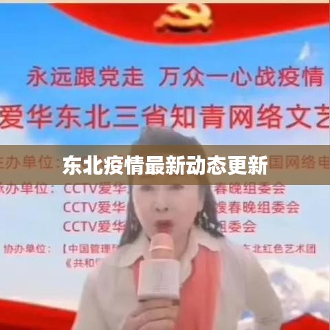 东北疫情最新动态更新