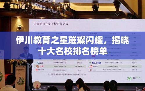伊川教育之星璀璨闪耀，揭晓十大名校排名榜单