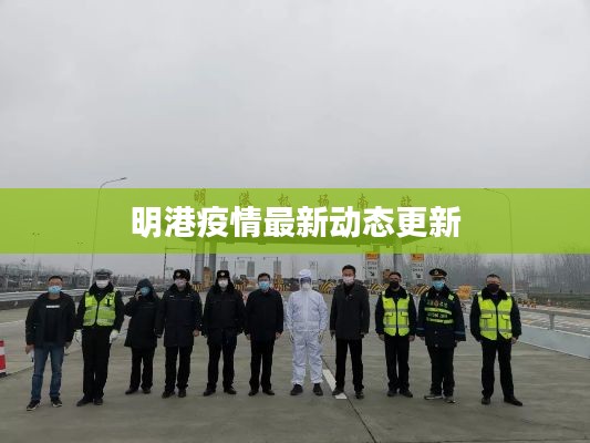 明港疫情最新动态更新