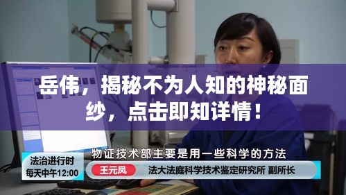 岳伟，揭秘不为人知的神秘面纱，点击即知详情！