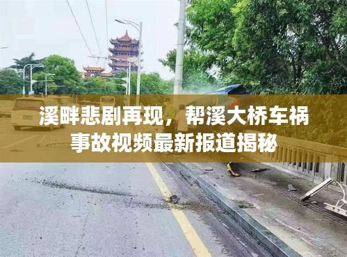 关于我们 第29页