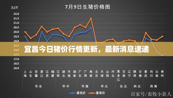 宜昌今日猪价行情更新，最新消息速递