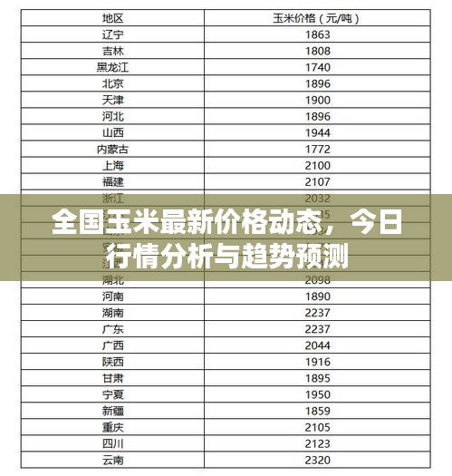 全国玉米最新价格动态，今日行情分析与趋势预测