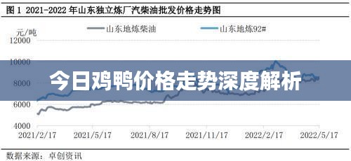 今日鸡鸭价格走势深度解析