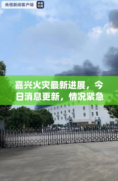 嘉兴火灾最新进展，今日消息更新，情况紧急！