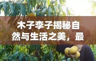 木子李子揭秘自然与生活之美，最新视频汇总欣赏