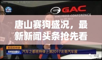 唐山赛狗盛况，最新新闻头条抢先看