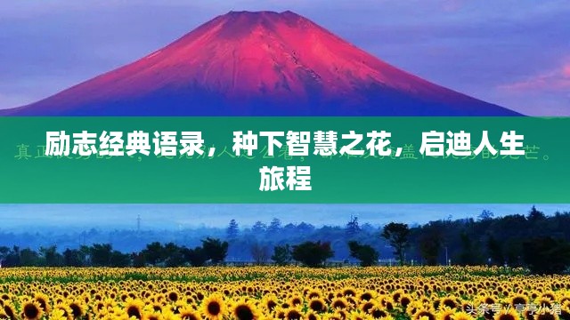 励志经典语录，种下智慧之花，启迪人生旅程