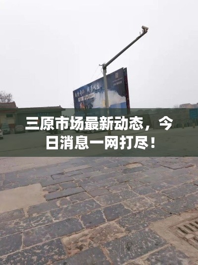 三原市场最新动态，今日消息一网打尽！