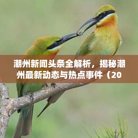 潮州新闻头条全解析，揭秘潮州最新动态与热点事件（2021年）