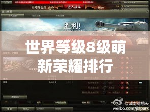 世界等级8级萌新荣耀排行
