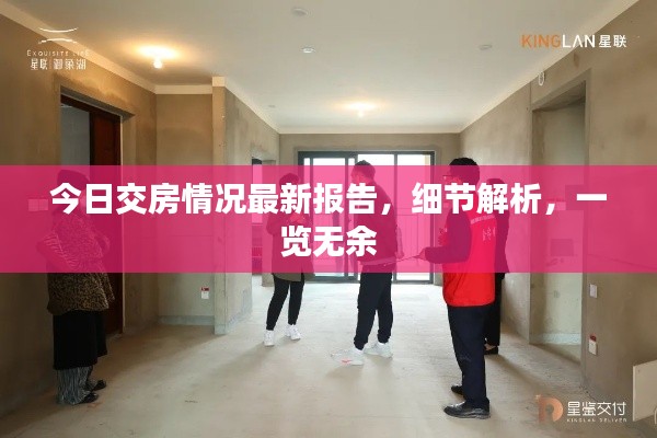 今日交房情况最新报告，细节解析，一览无余