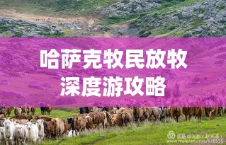 哈萨克牧民放牧深度游攻略