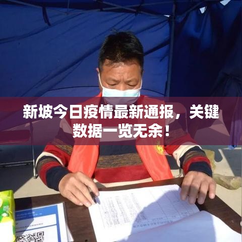 新坡今日疫情最新通报，关键数据一览无余！