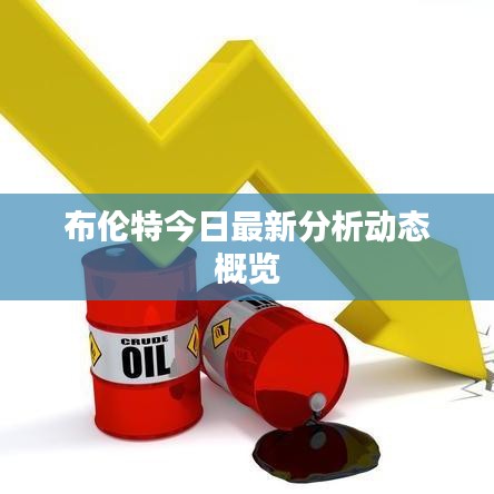 布伦特今日最新分析动态概览