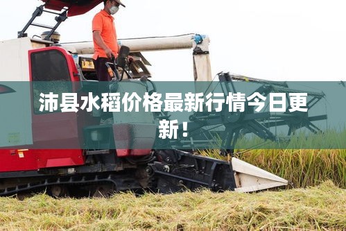 沛县水稻价格最新行情今日更新！