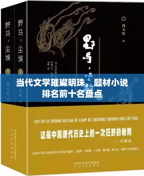 当代文学璀璨明珠，题材小说排名前十名盘点