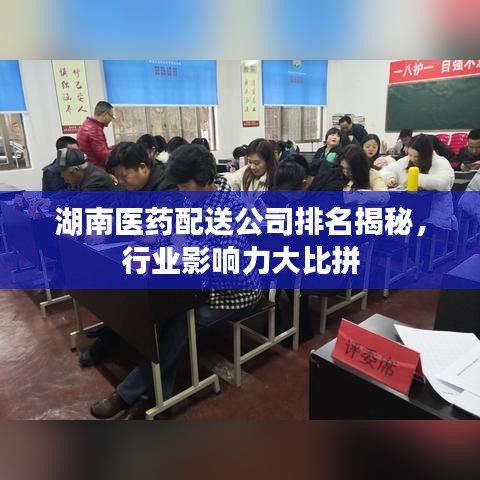 湖南医药配送公司排名揭秘，行业影响力大比拼
