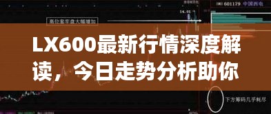 LX600最新行情深度解读，今日走势分析助你洞悉市场动向