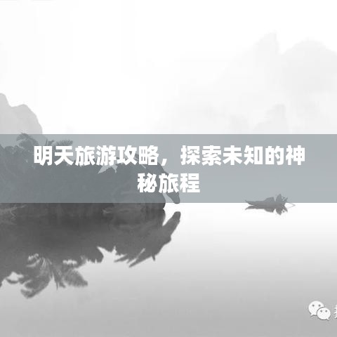 明天旅游攻略，探索未知的神秘旅程
