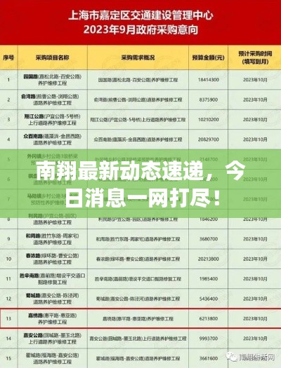 南翔最新动态速递，今日消息一网打尽！