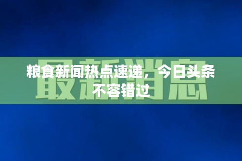 粮食新闻热点速递，今日头条不容错过