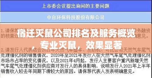 宿迁灭鼠公司排名及服务概览，专业灭鼠，效果显著