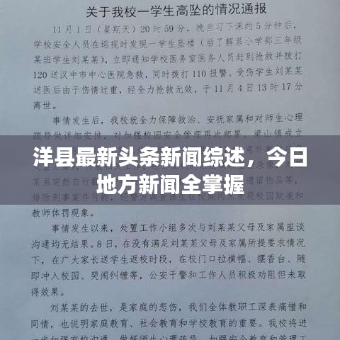 洋县最新头条新闻综述，今日地方新闻全掌握