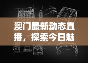 澳门最新动态直播，探索今日魅力与头条新闻