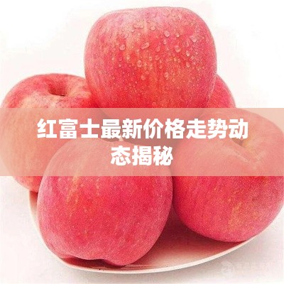 红富士最新价格走势动态揭秘
