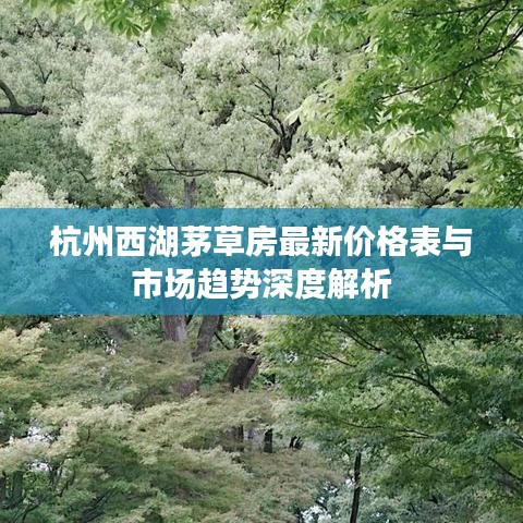 杭州西湖茅草房最新价格表与市场趋势深度解析
