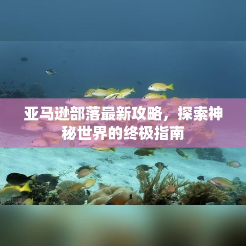 亚马逊部落最新攻略，探索神秘世界的终极指南