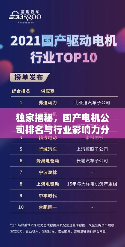 独家揭秘，国产电机公司排名与行业影响力分析