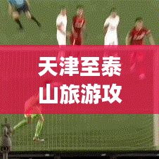 天津至泰山旅游攻略，登山观景，一览众山小