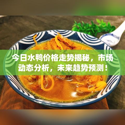 今日水鸭价格走势揭秘，市场动态分析，未来趋势预测！