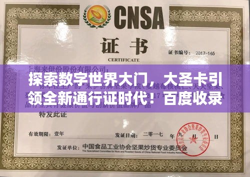 探索数字世界大门，大圣卡引领全新通行证时代！百度收录标准吸睛标题